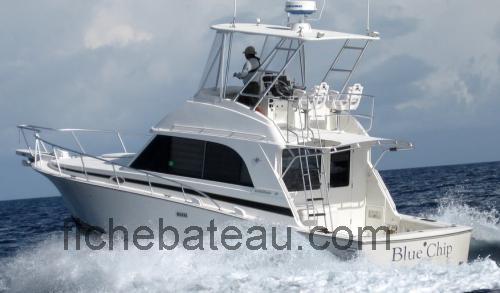 Bertram 33 Flybridge Cruiser avis et fiche technique 
